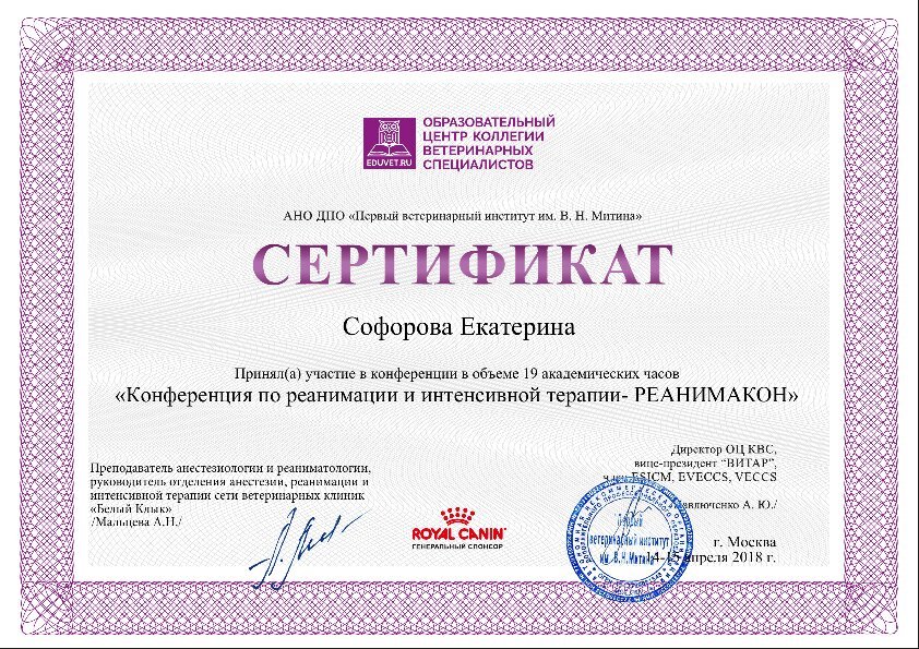 Документ или сертификат