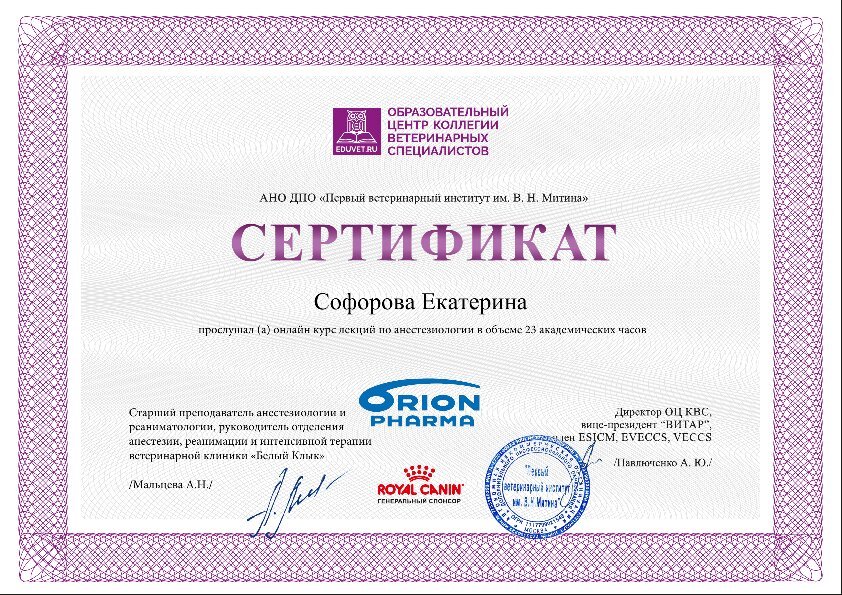 Документ или сертификат