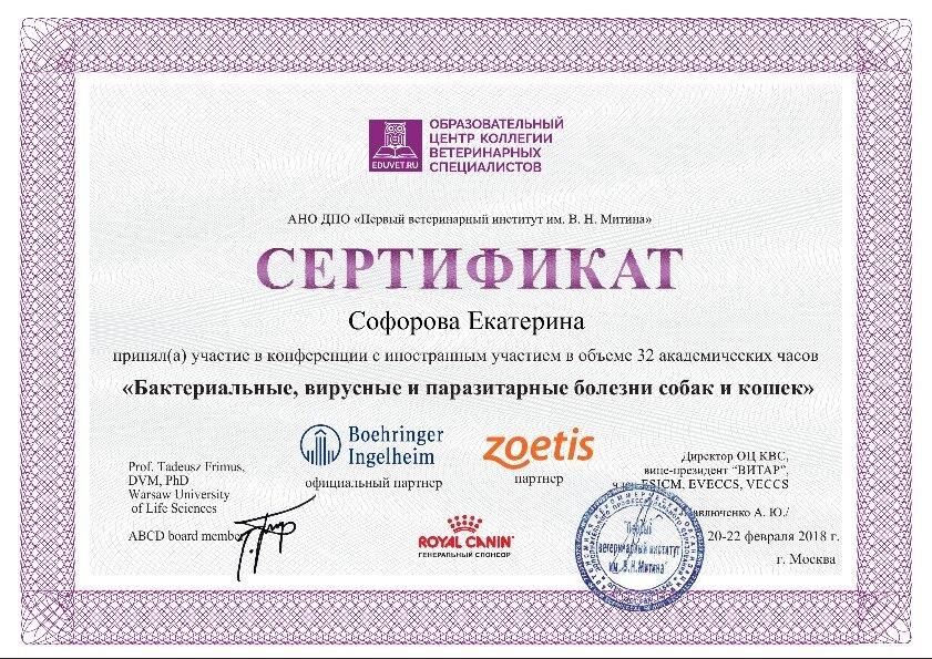 Документ или сертификат