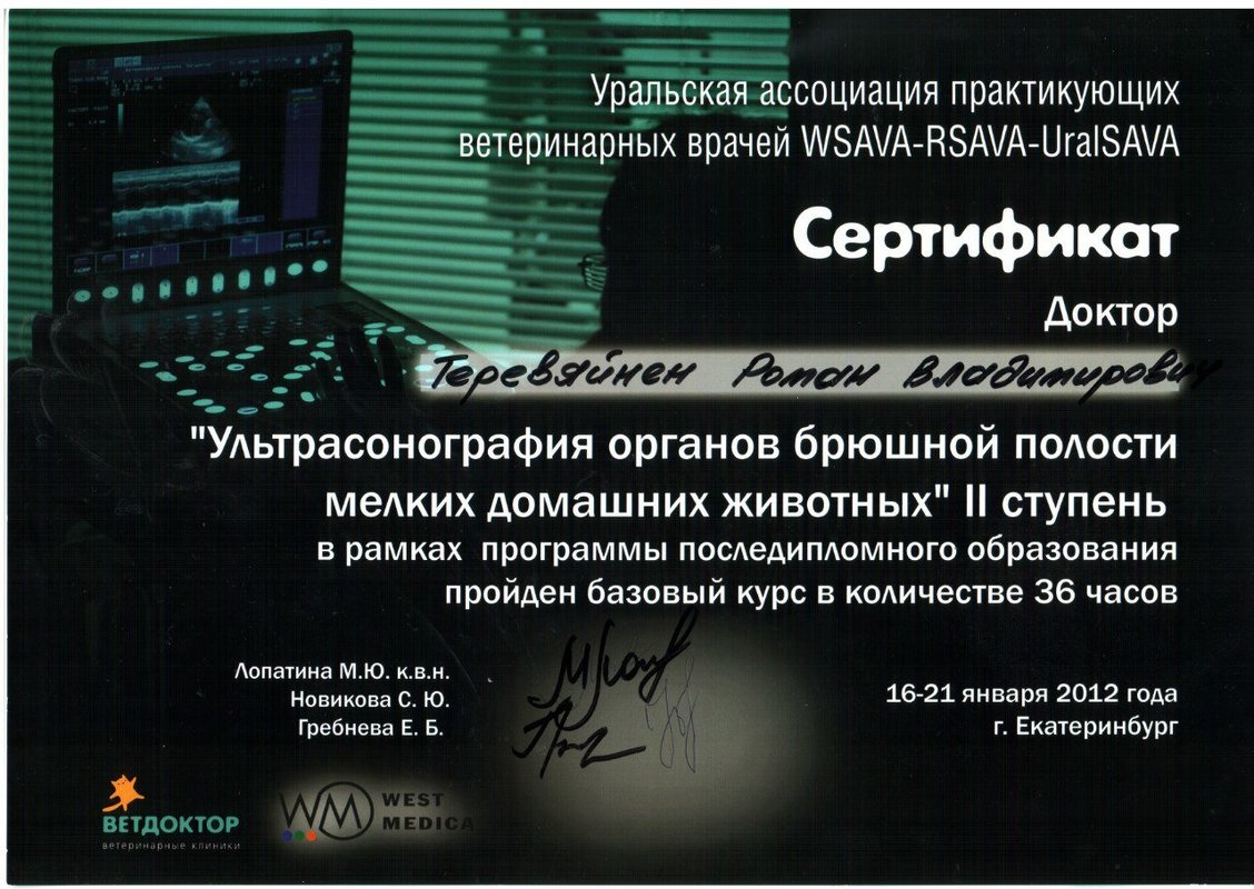 Документ или сертификат