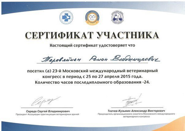 Документ или сертификат