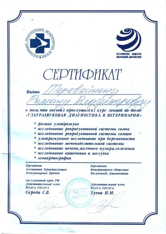 Документ или сертификат