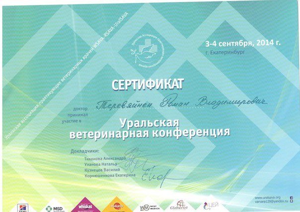 Документ или сертификат