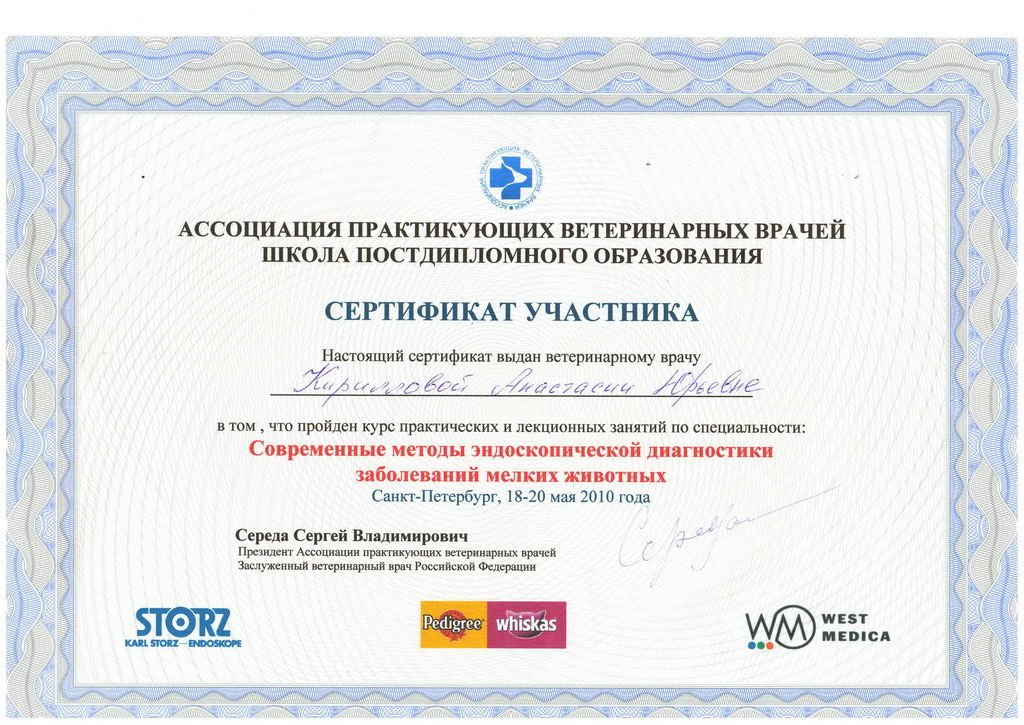 Документ или сертификат