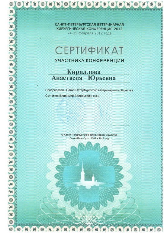 Документ или сертификат