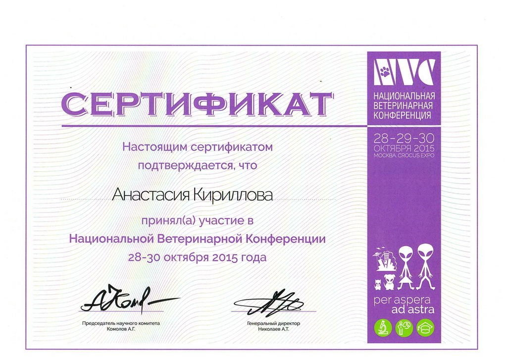 Документ или сертификат