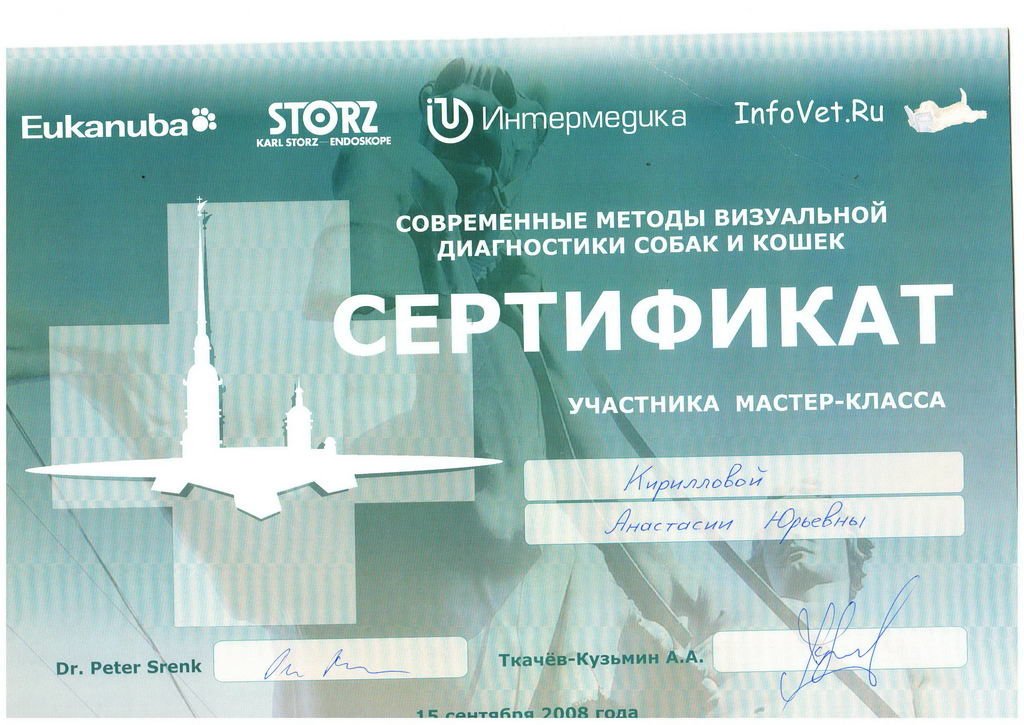 Документ или сертификат