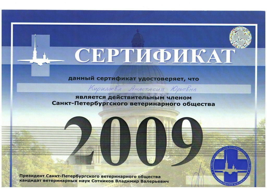 Документ или сертификат