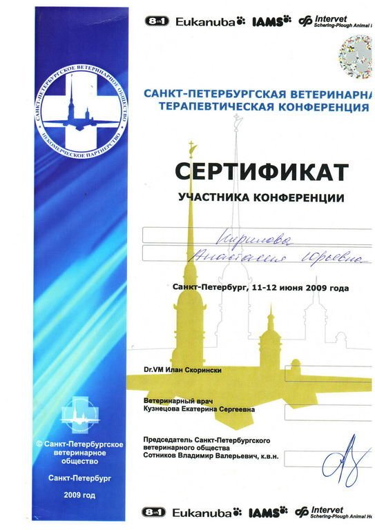 Документ или сертификат