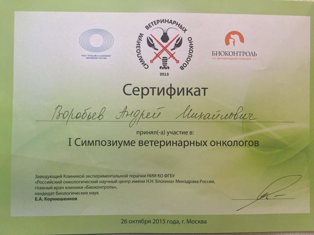 Документ или сертификат