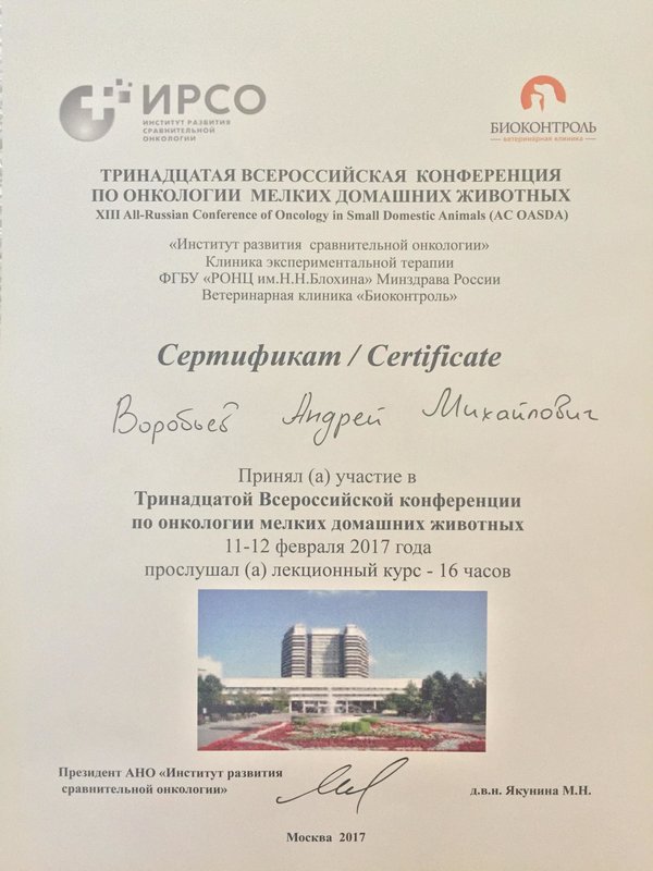 Документ или сертификат