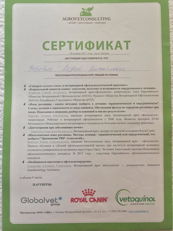 Документ или сертификат