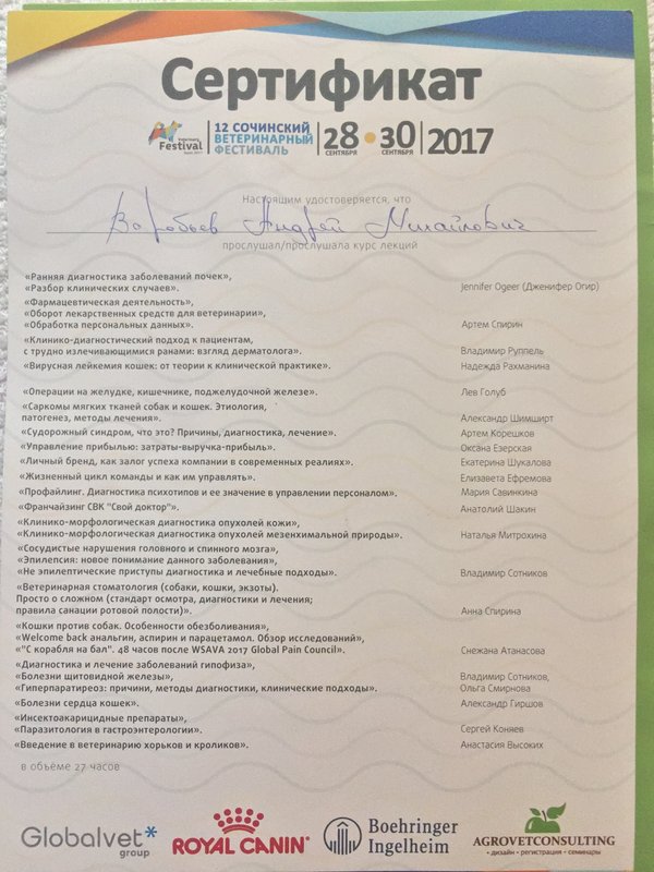 Документ или сертификат