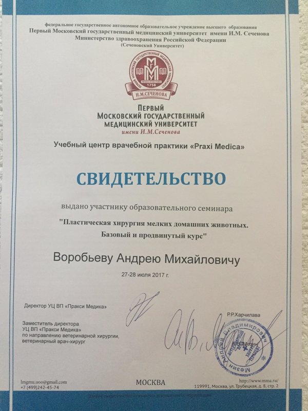 Документ или сертификат