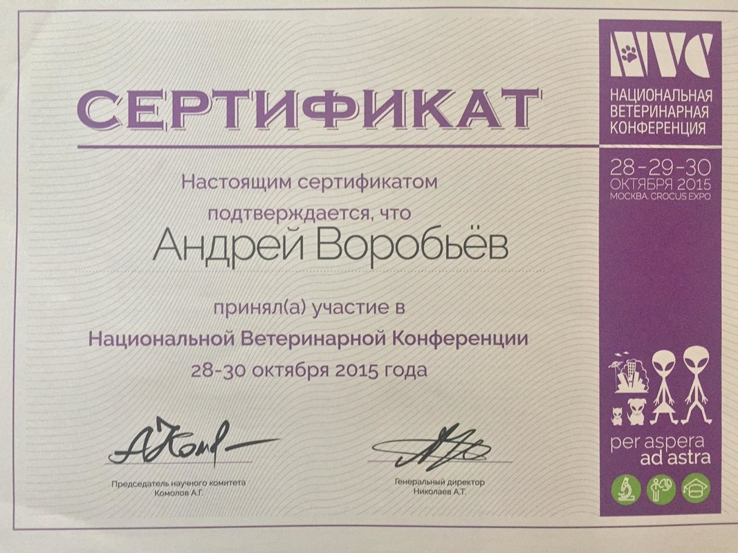 Документ или сертификат