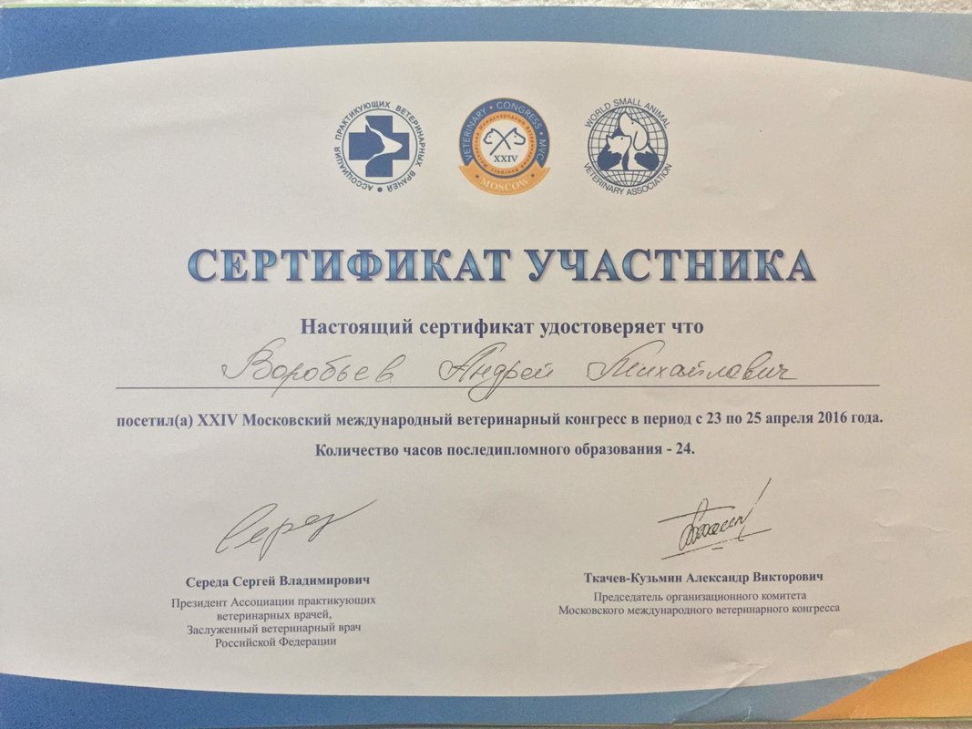 Документ или сертификат