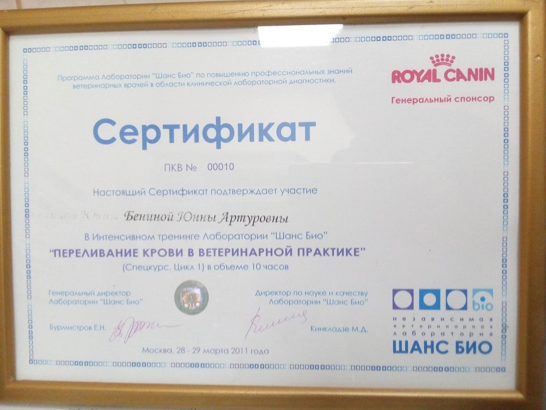 Документ или сертификат