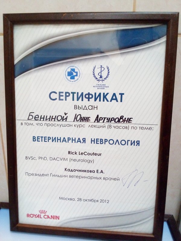 Документ или сертификат