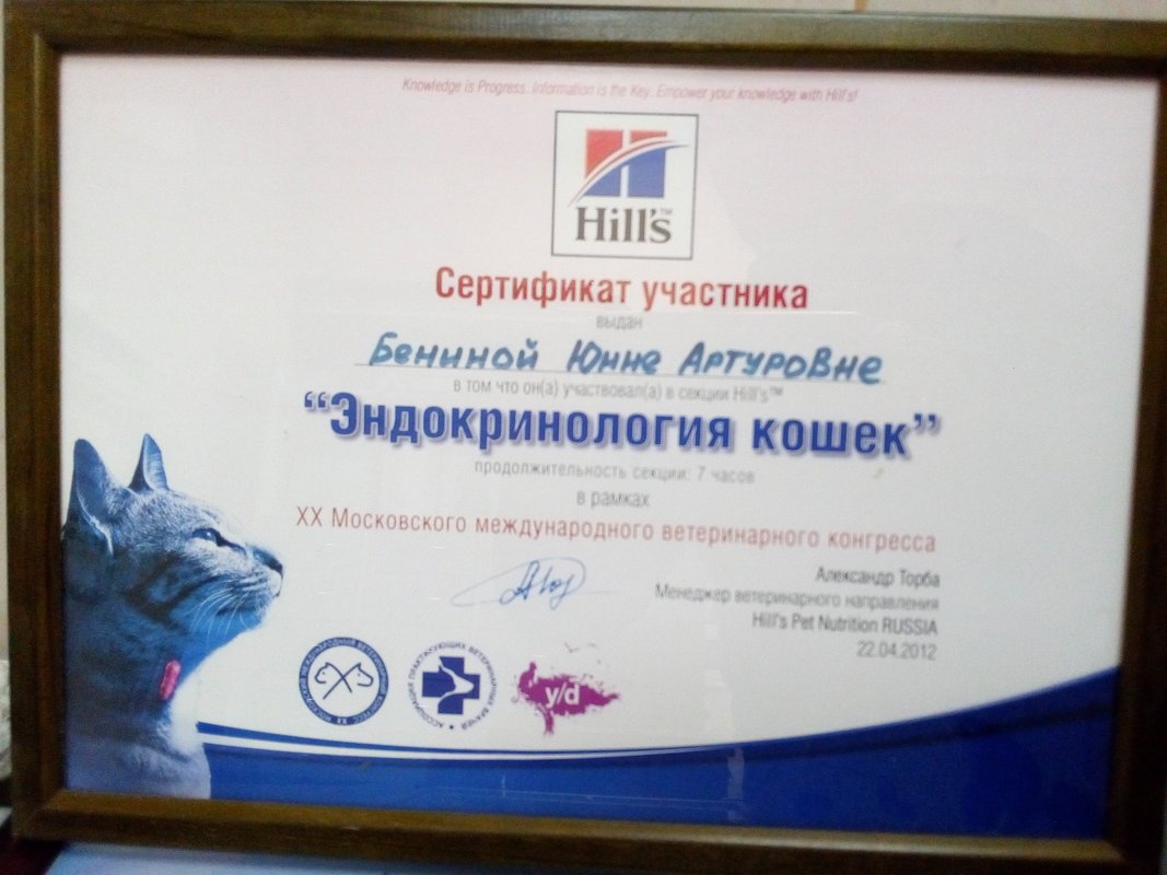 Документ или сертификат