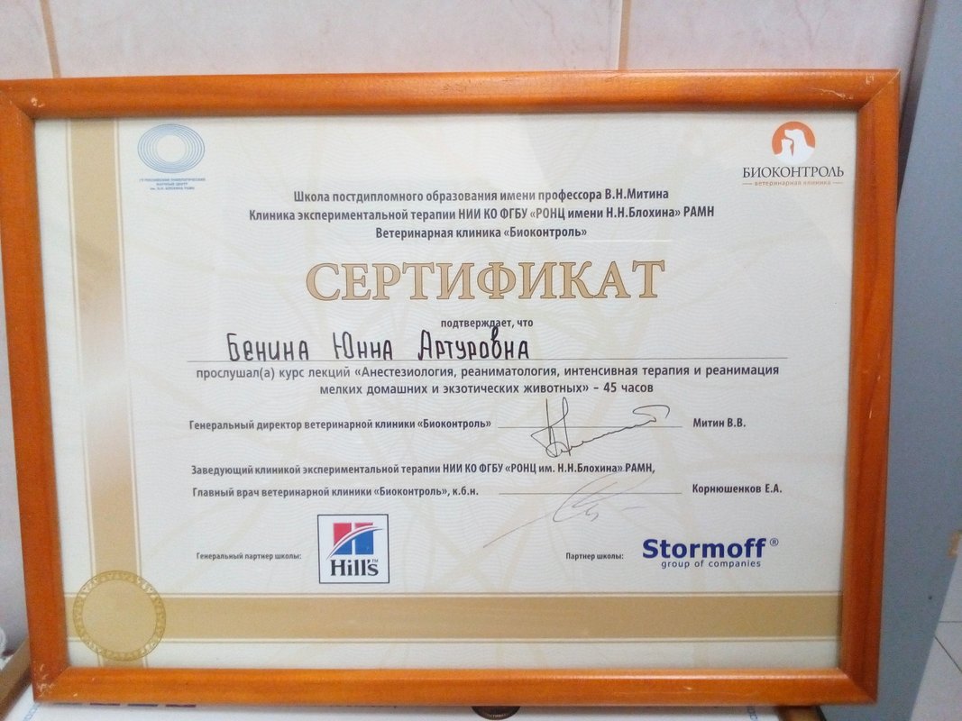 Документ или сертификат