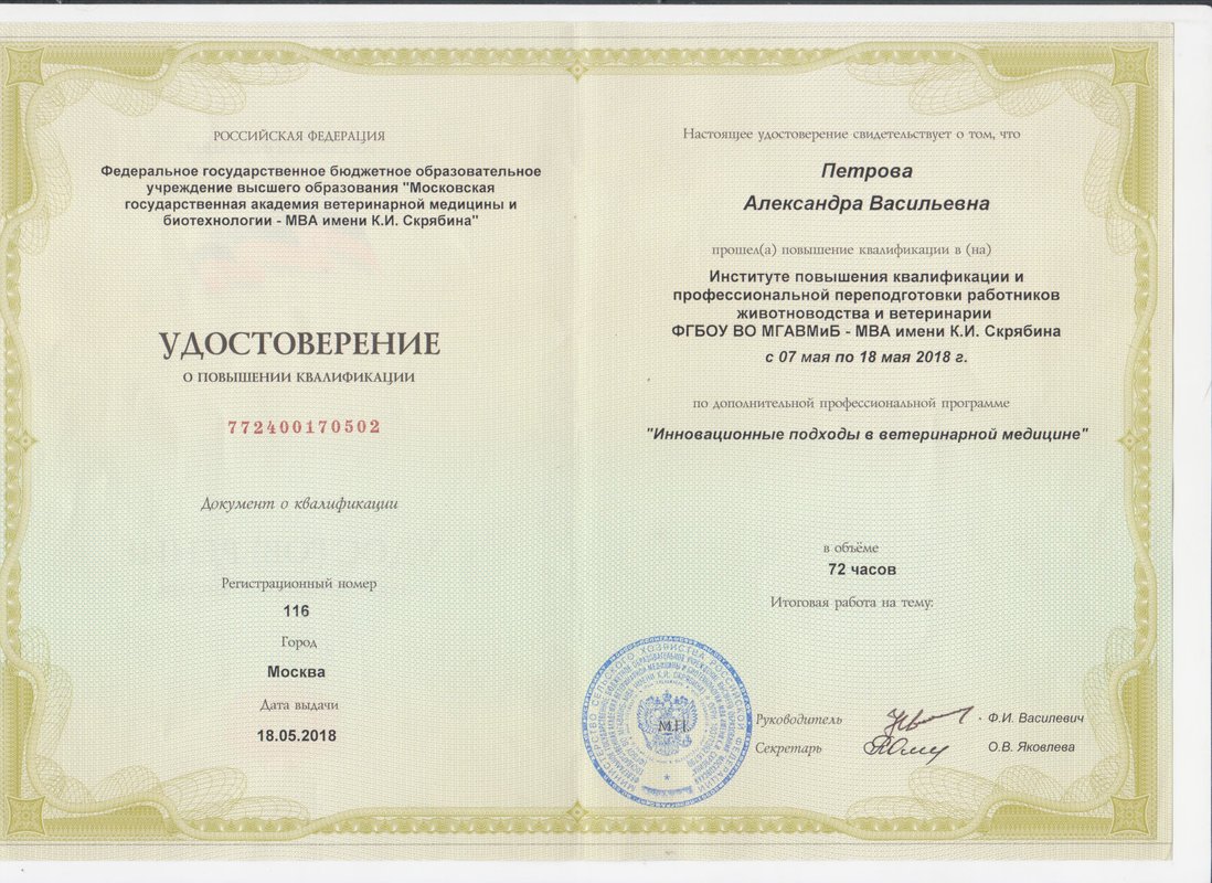 Документ или сертификат