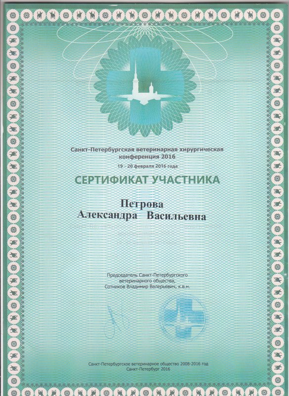 Документ или сертификат