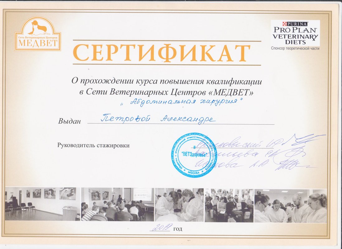 Документ или сертификат