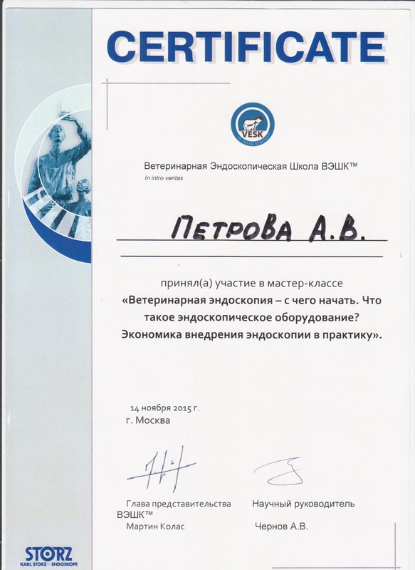 Документ или сертификат