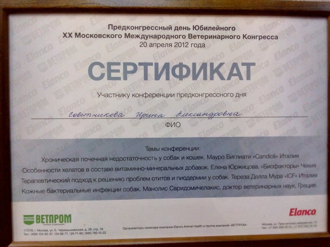 Документ или сертификат
