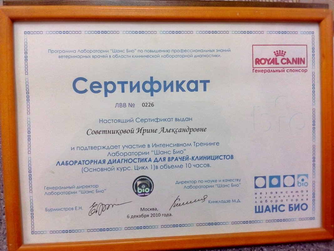 Документ или сертификат