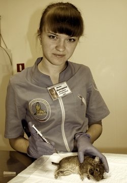 Фото врача Шемет Екатерина Викторовна