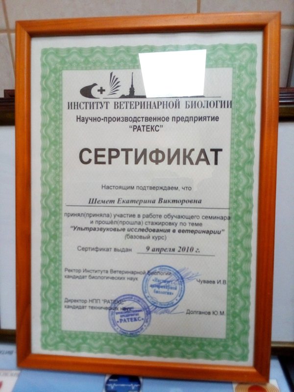 Документ или сертификат