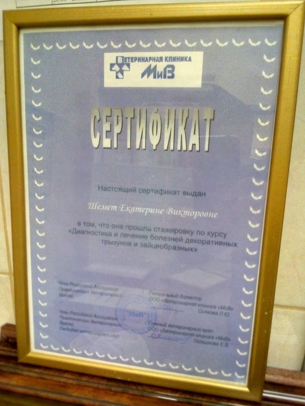 Документ или сертификат