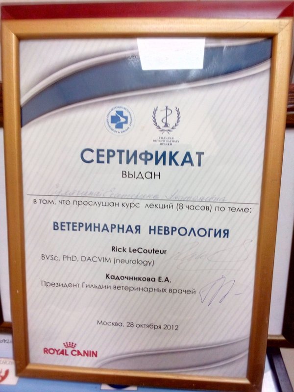 Документ или сертификат