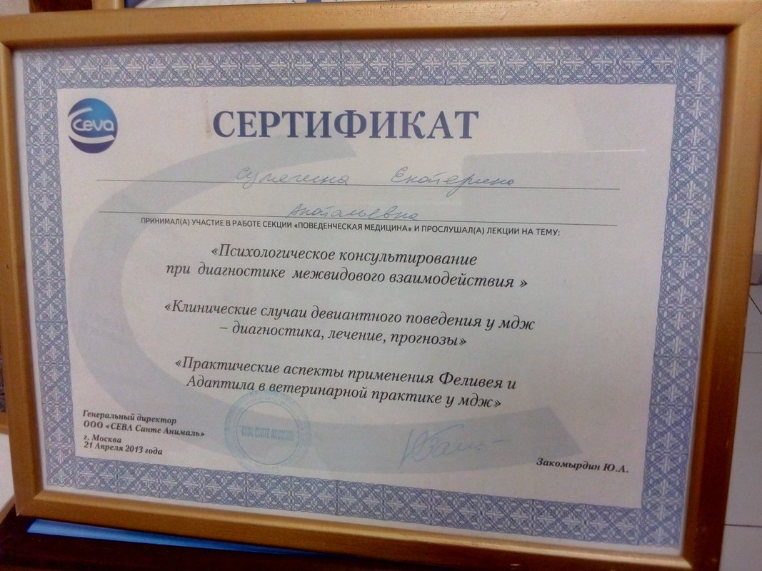 Документ или сертификат