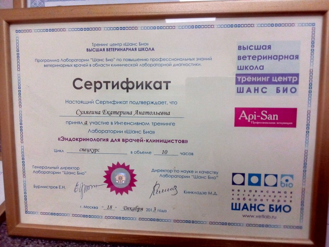 Документ или сертификат