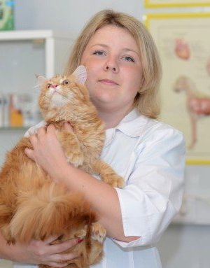 Фото врача Маслова Светлана Андреевна