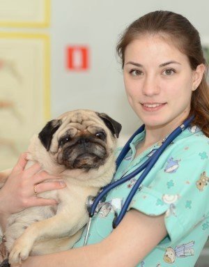 Фото врача Галиба Мария Игоревна