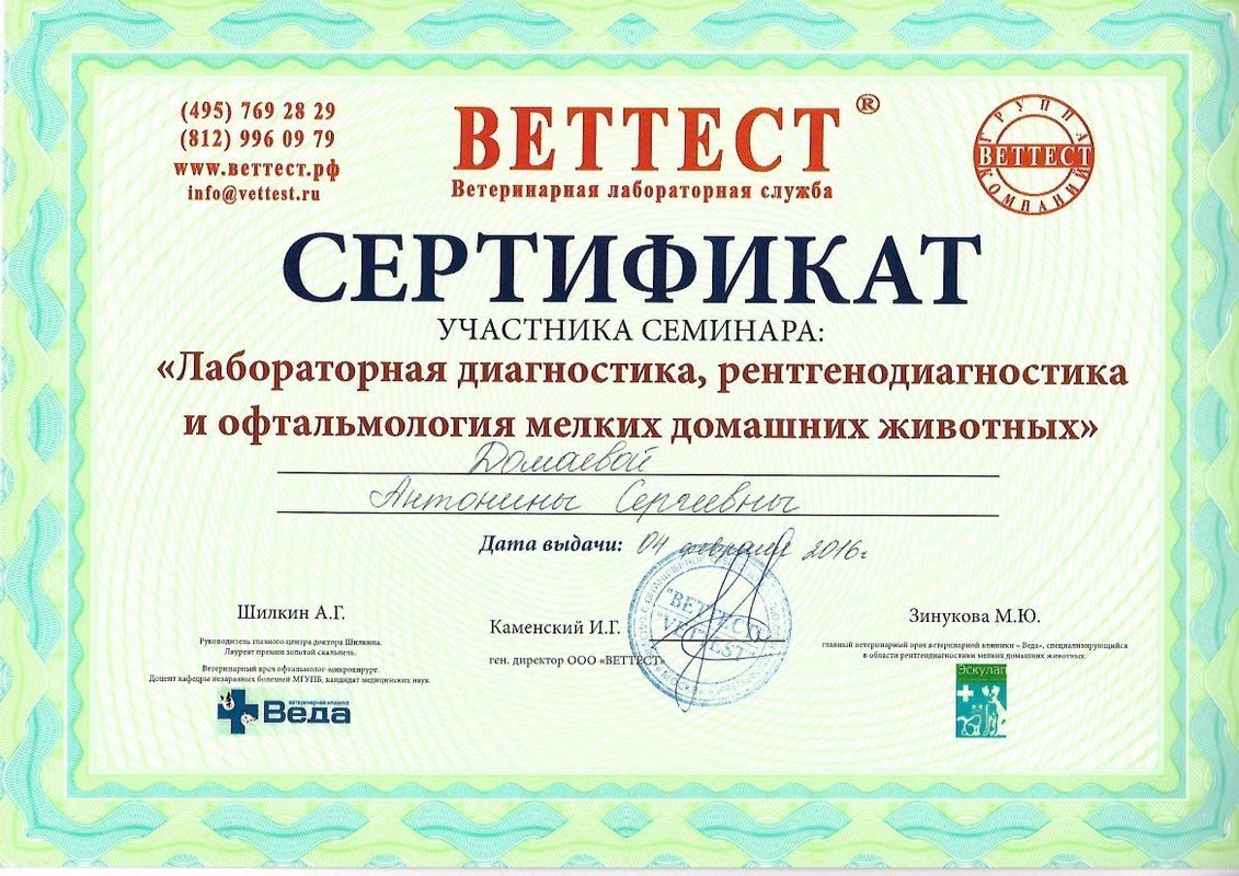 Документ или сертификат