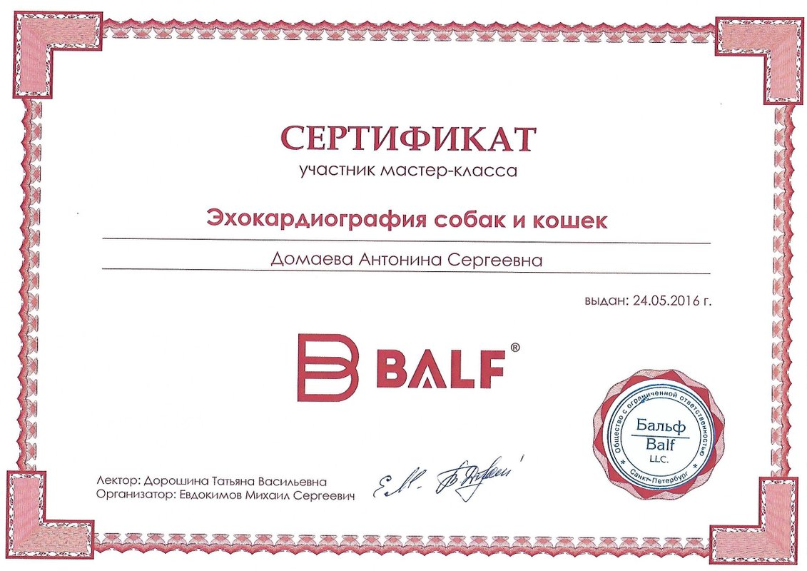 Документ или сертификат