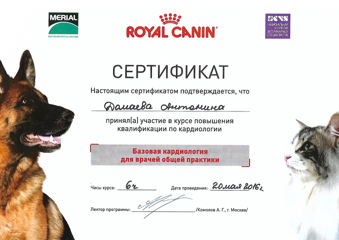 Документ или сертификат
