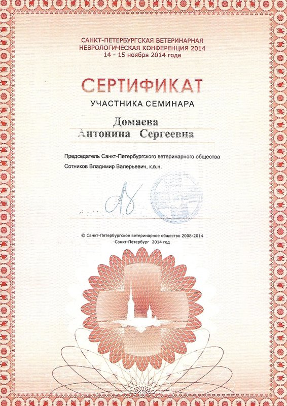 Документ или сертификат