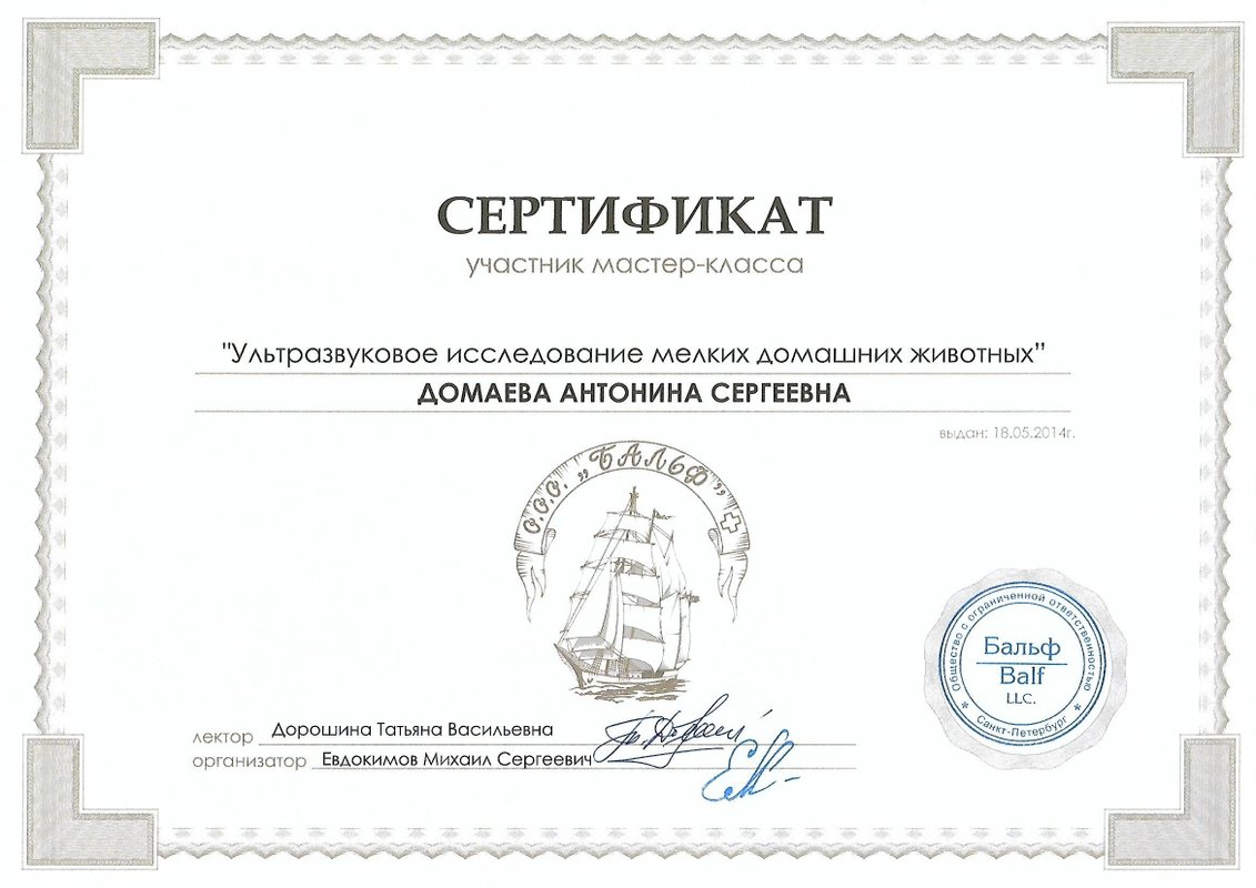Документ или сертификат