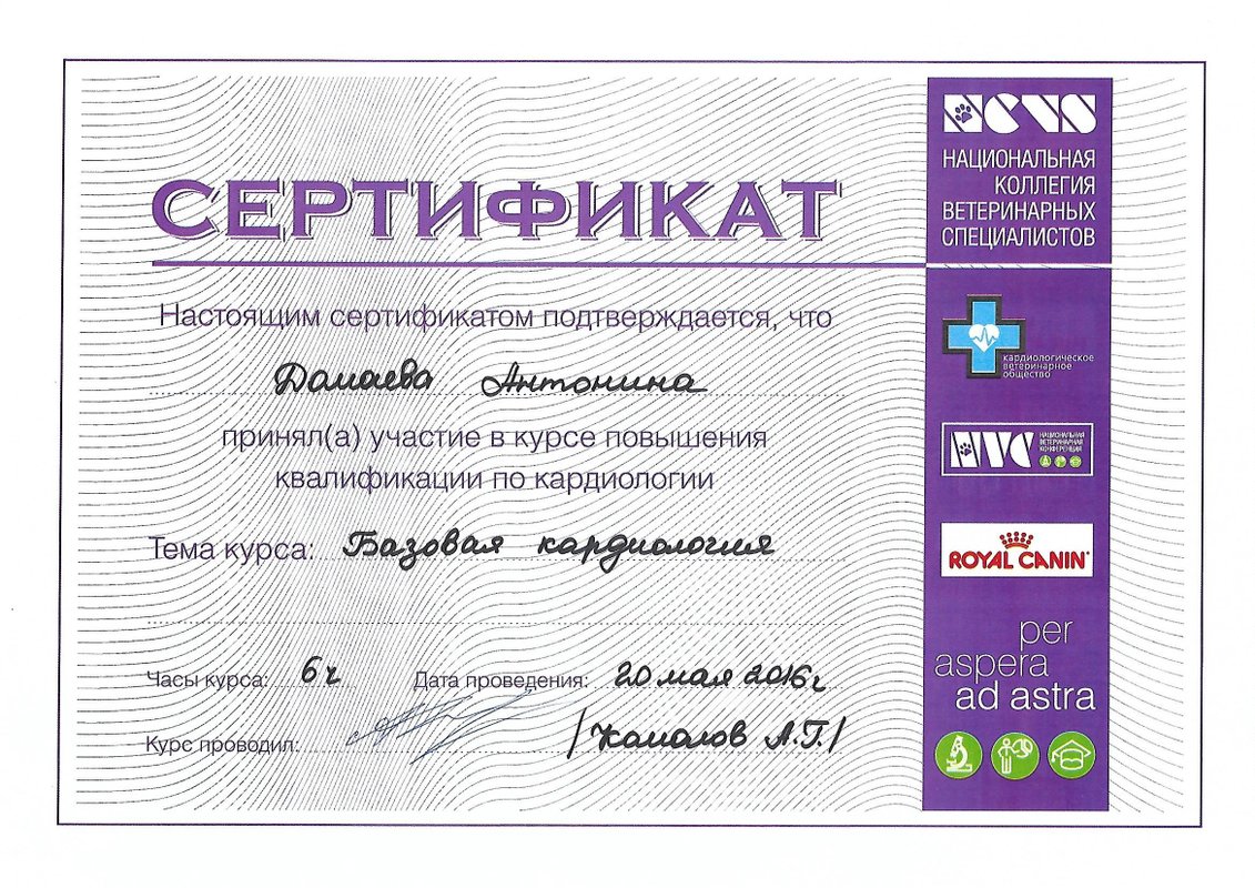 Документ или сертификат