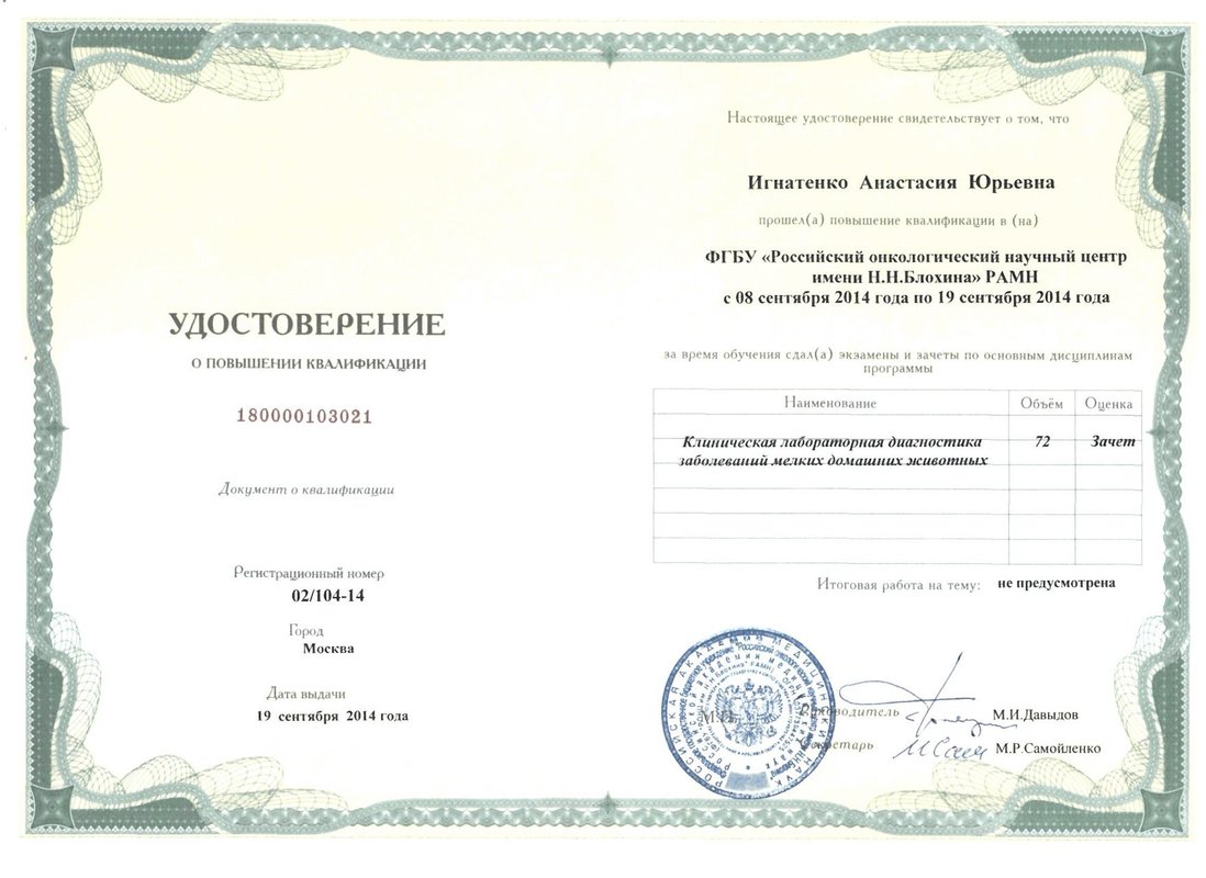 Документ или сертификат