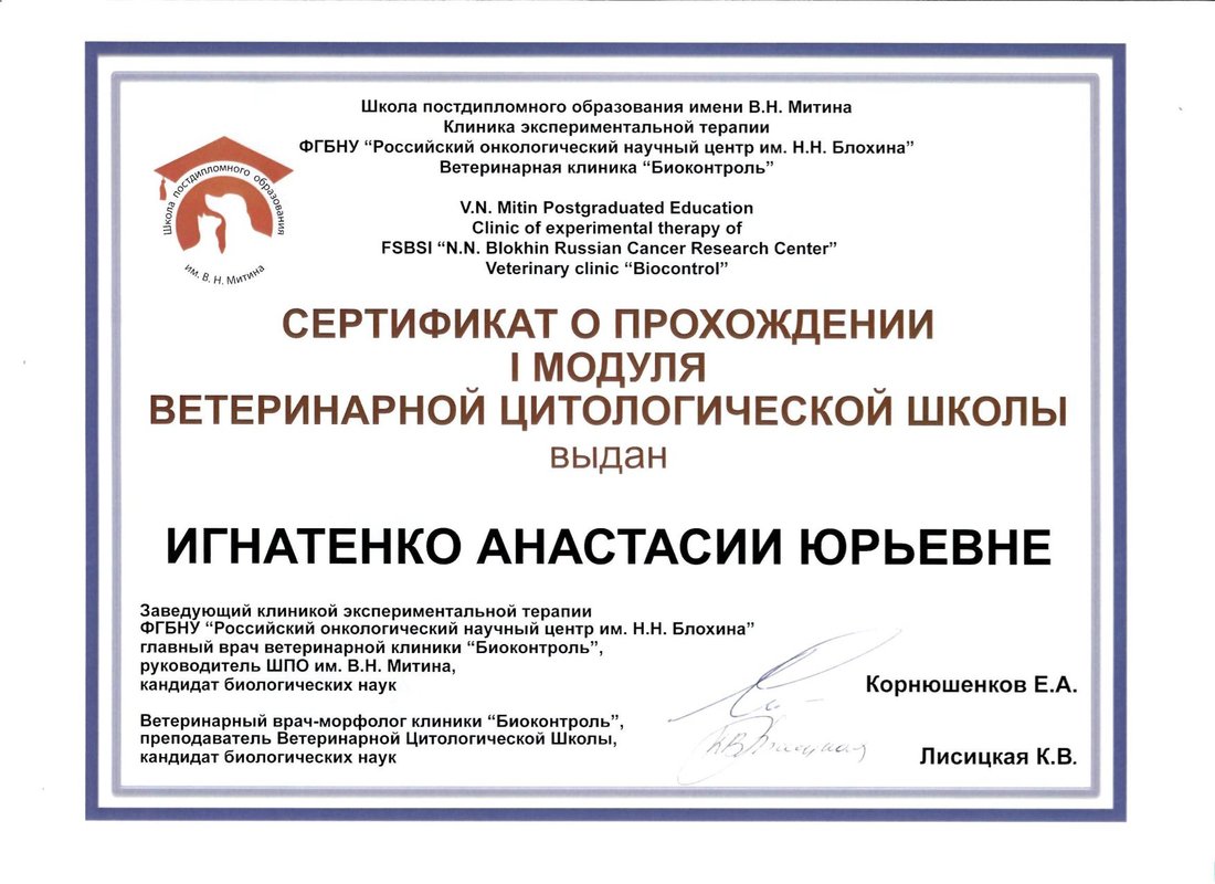 Документ или сертификат