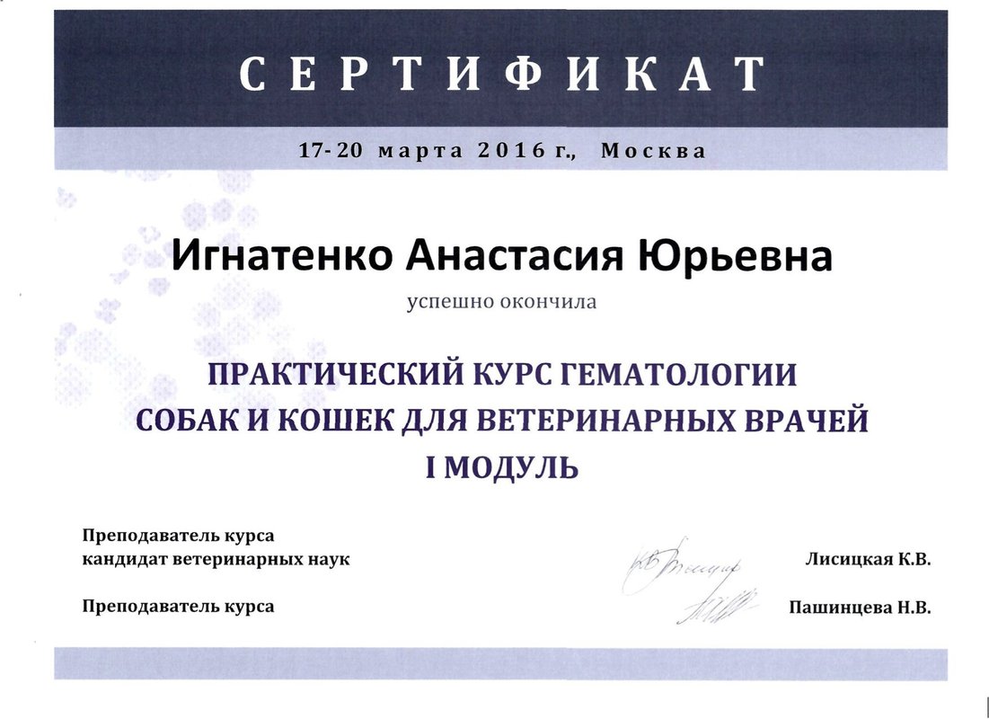 Документ или сертификат