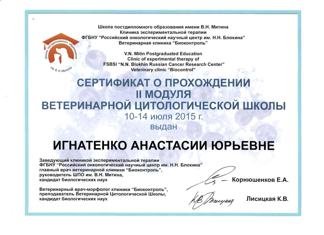 Документ или сертификат