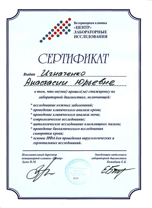 Документ или сертификат