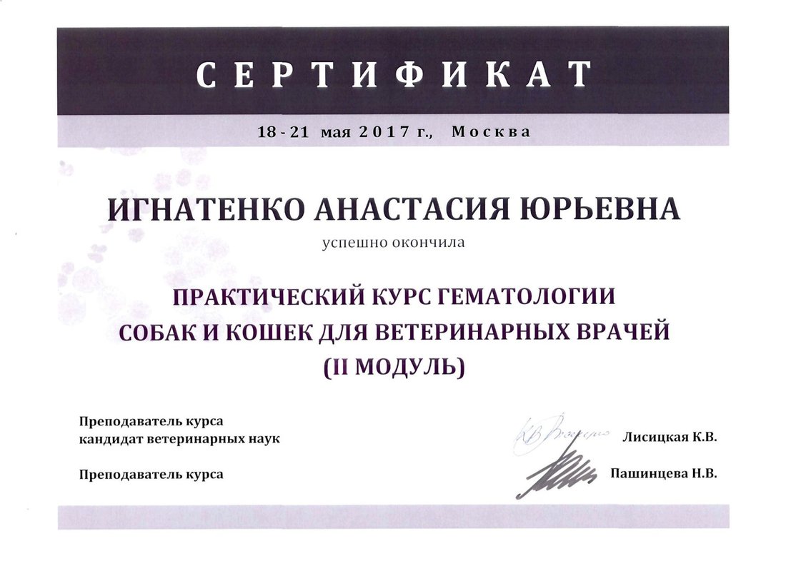 Документ или сертификат